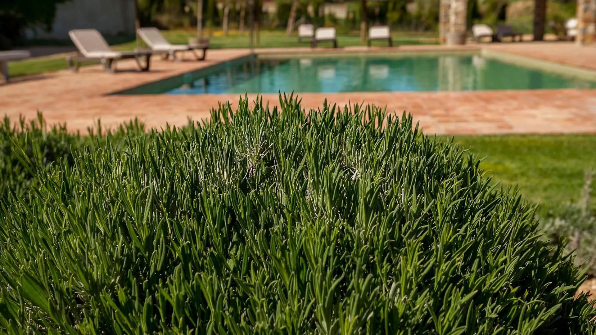 Mas Vermell Fontanilles Country house